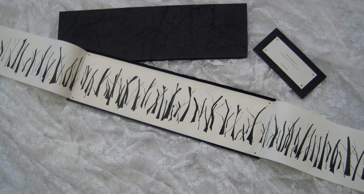 10661934_846019995451384_2087369707555957817_o