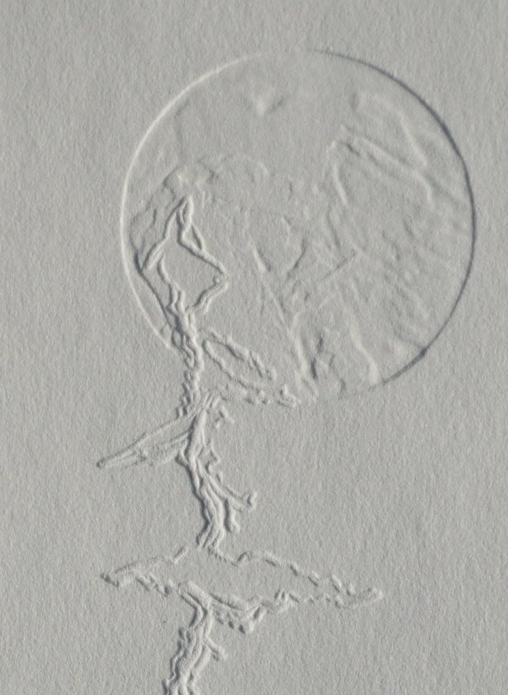 10922352_847778381942212_7002806736976491597_o