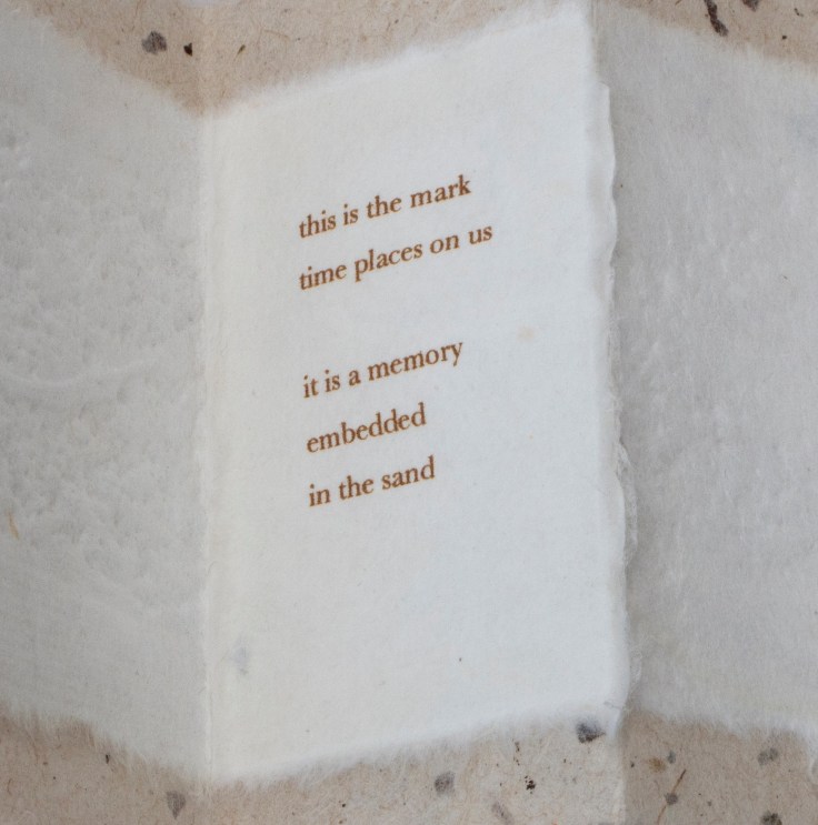 11025893_846004875452896_7004912012565292005_o