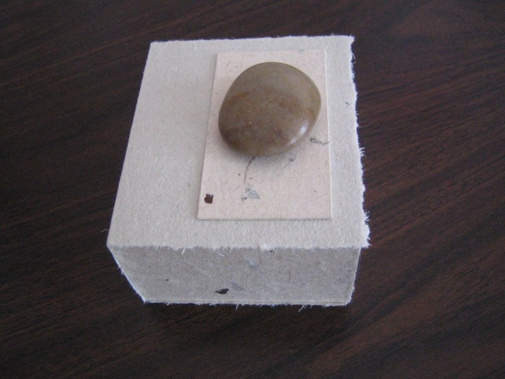 11026308_846019842118066_322376008469263926_o